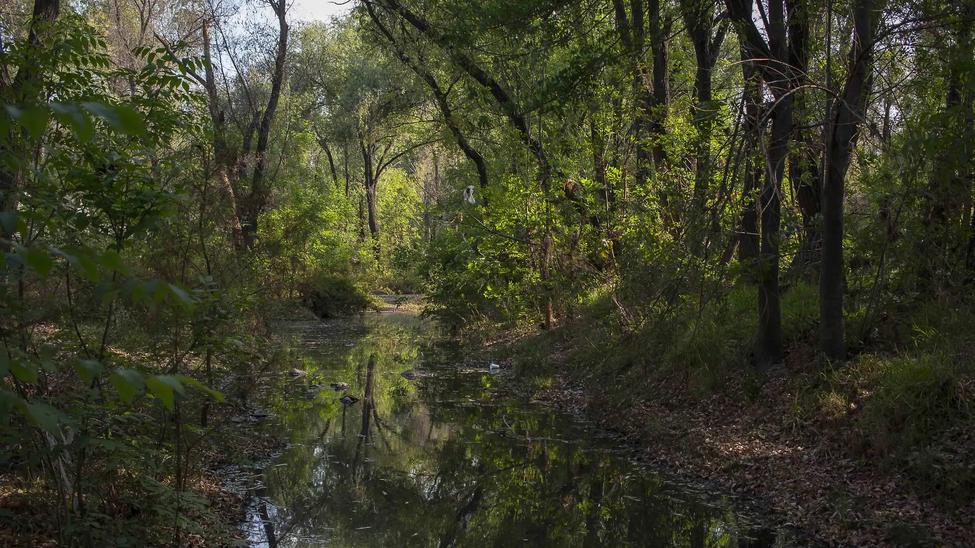 Ambientalistas quieren un patronato para gestionar recursos en pro del río San Juan.